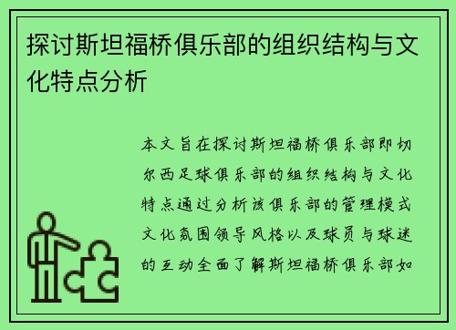 探讨斯坦福桥俱乐部的组织结构与文化特点分析