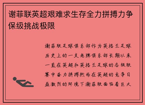 谢菲联英超艰难求生存全力拼搏力争保级挑战极限