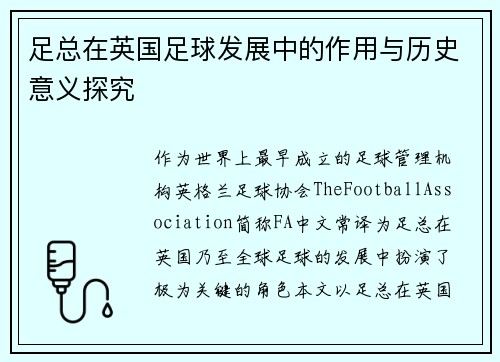 足总在英国足球发展中的作用与历史意义探究